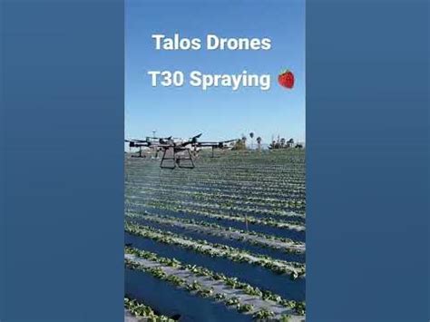 talos drones  spraying strawberries wwwtalosdronescom youtube