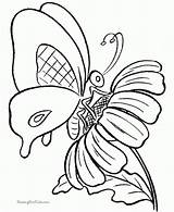 Butterfly Coloring Pages Printable sketch template