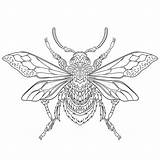 Beetle Insect Illustration Stylized Zentangle Tattoo Stock Vector Coloring Adult Psychedelic Stag sketch template