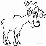 Moose Coloring Pages Printable Kids Cool2bkids sketch template