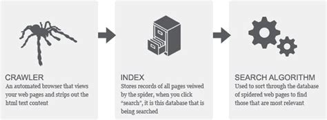 introduction  search indexes mongodb