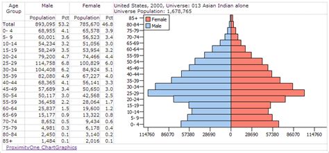 Population Pyramids Census 2010 Age Sex Gender Race