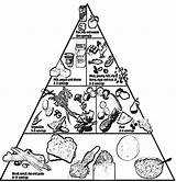 Pyramid Food Coloring Pages Kids Healthy Printable Clipart Groups Lunchbox Teaching Foods Choose Board Library Popular sketch template