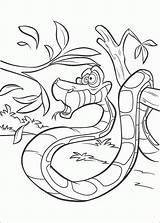 Jungle Coloring Pages Book Snake Kaa Kids sketch template
