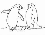 Animals Arctic Coloring Pages Tundra Penguin Couple Printable Drawing Preschoolers Polar Getdrawings Bear Getcolorings Color Animal Kids sketch template