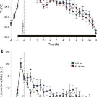 graphs illustrating effects  sc  vaccae challenge   core body