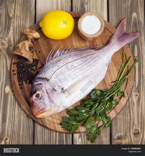 fresh fish pagr  image photo  trial bigstock