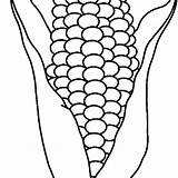 Coloring Corn Ear Getcolorings Candy sketch template