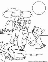 Lion Coloring King Pages Simba Nala Printable Disney Kids Silhouette Getcolorings Getdrawings Color Tree Book Jungle Sheets Colorings Print Disneymovieslist sketch template