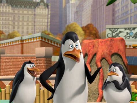 Rico And Private Penguins Of Madagascar Photo 27102641 Fanpop