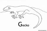 Coloring Gecko Pages Printable Color Sheets Geckos Card Kids Dari Disimpan sketch template