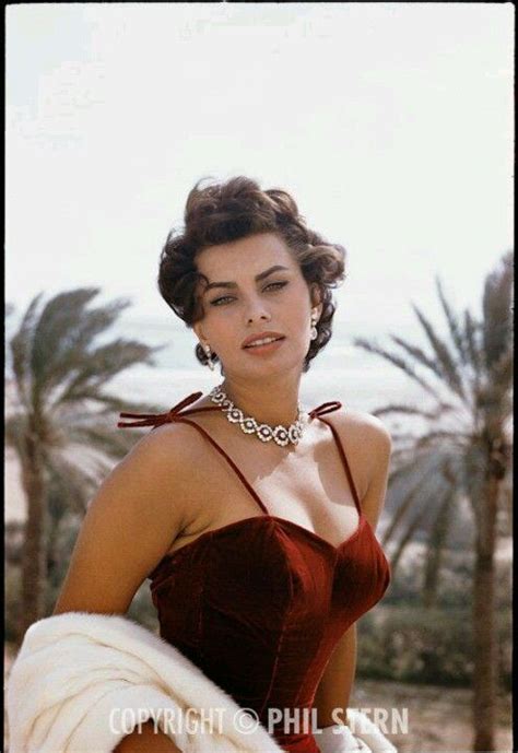 Sophia Loren Sophia Loren Sofia Loren Sophia