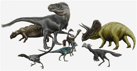 dinosaurs natural history museum