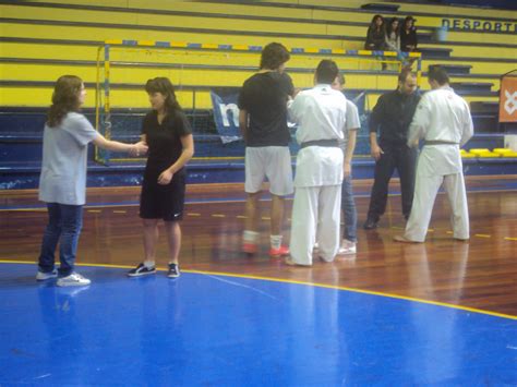 karate wado ryu associação juvenil de karaté portugal