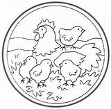 Mandalas Animales Pollitos Gallina Granja Domesticos Animalitos Vacas Desenhos sketch template