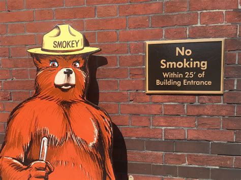 there s an exhibit dedicated to smokey bear in southwest dc washingtonian