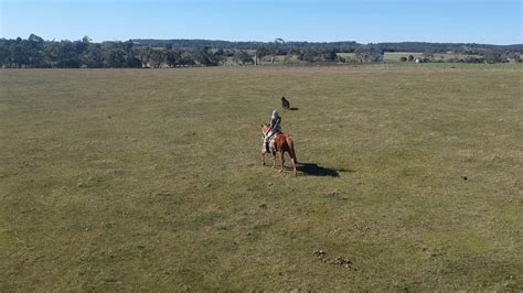 horseback archer larp drone footage youtube