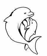 Delfin Dolphin Engraving sketch template