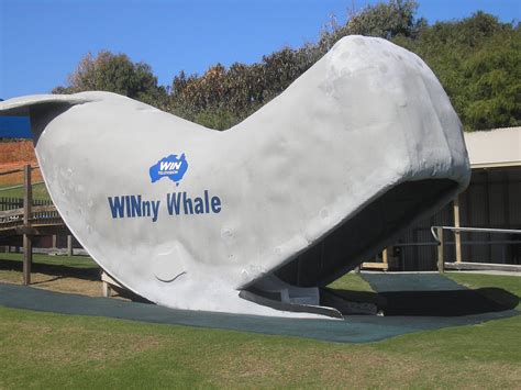whereiswitchwae whale world  albany