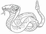 Coloring Rattlesnake Snake Getdrawings sketch template