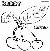 Berry Coloring Pages Cherry Designlooter 37kb 1000px Colorings sketch template