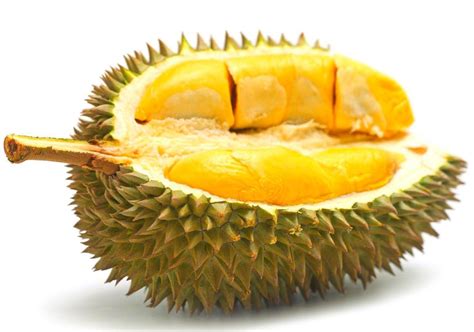 Durian Wallpapers Top Free Durian Backgrounds Wallpaperaccess