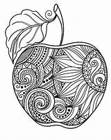 Coloring Pages Apple Mandala Colouring Adults Zentangle Fuji Varieties Thousands Apples Gala Interest Including Did Different Know There Red Choose sketch template