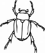 Beetle Outline Clipart Bug Clip Beatle June Japanese Cliparts Outlines Vector Drawings Library Clker Insect Scarab Large 597px 05kb sketch template