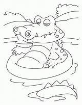 Coloring Crocodile Swimming Pages Bath Animals Tub Crocodiles Printable Winter Clipart Favorite Kids Buaya Alligator Bluebonkers Snow Bird Library Print sketch template