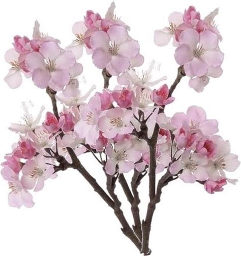 bolcom  stuks roze kunstbloemen appelbloesem takken van  cm kunstbloemennepbloemen