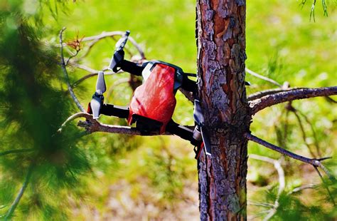 retrieve  drone stuck   tree drone nastle