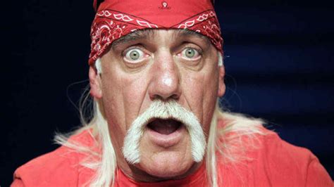 Multimillonaria Indemnización Para Hulk Hogan Por La Difusión De Su