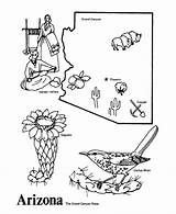 Arizona Flower Printables Designlooter Symbols Daycare sketch template