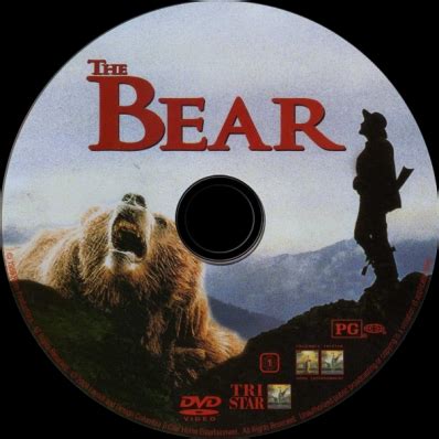 covercity dvd covers labels  bear