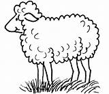 Mouton Coloriage Sheep Animaux Maternelle Coloriages Berger Imprimer Dessins Shaun Environnement sketch template