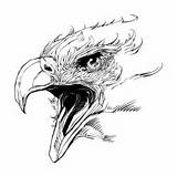 Eagle Head Drawing Clipart Bald Tattoos Deviantart Outline Tattoo Designs Getdrawings Library Login sketch template