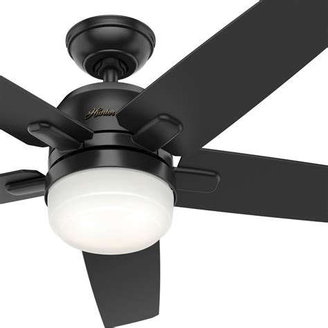hunter replacement ceiling fan light kit shelly lighting