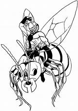 Ant Man Coloring Wasp Vespa Drawing Pages La Printable Riding sketch template