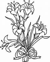 Lily Coloring Pages Flowers Getcolorings Flower sketch template