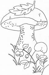Embroidery Coloring Pages Pattern Patterns Printable Pilze Fall Mushroom Bilder Mushrooms Kids Designs Herbst Basteln Malen Leaves Templates Lernen Muster sketch template