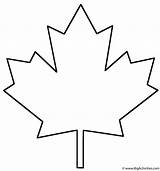 Maple Leaf Coloring Template Pages Printable Canadian Leaves Bigactivities Kids sketch template