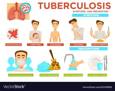 tuberculosis symptoms  measures infographics vector image