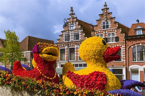 flower parade expo haarlem  tulip festival amsterdam