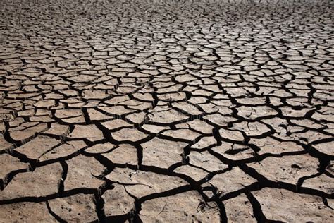 dry rough land stock image image  ground crack rough