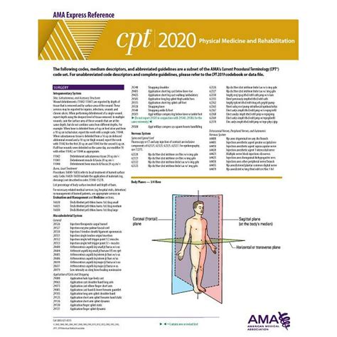 cpt  express reference coding card physician medicine  rehabilitation  walmart