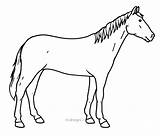 Horse Animals Midisegni Coloring sketch template