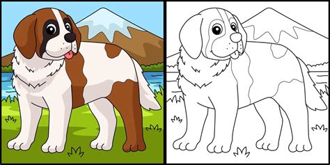 saint bernard dog coloring page illustration  vector art