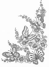 Pages Coloring Butterfly Adults Butterflies Getdrawings sketch template
