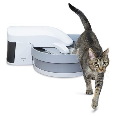 petsafe simply clean  cleaning cat litter box automatic litter box