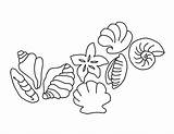 Coloring Pages Shells Sea Seashell Clipart Pattern Seashells Library Printable sketch template